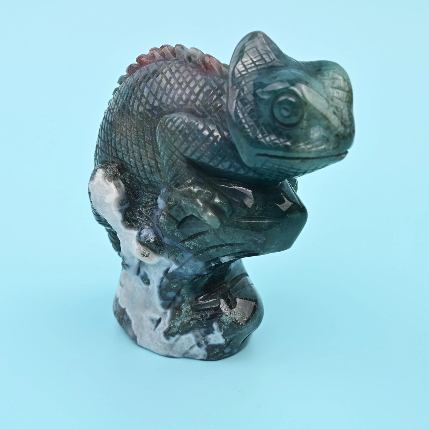 5" Natural Large Size Indian Agate Chameleon Gemstone Lizard Carving 1.97 lb - Mycrazycrystal