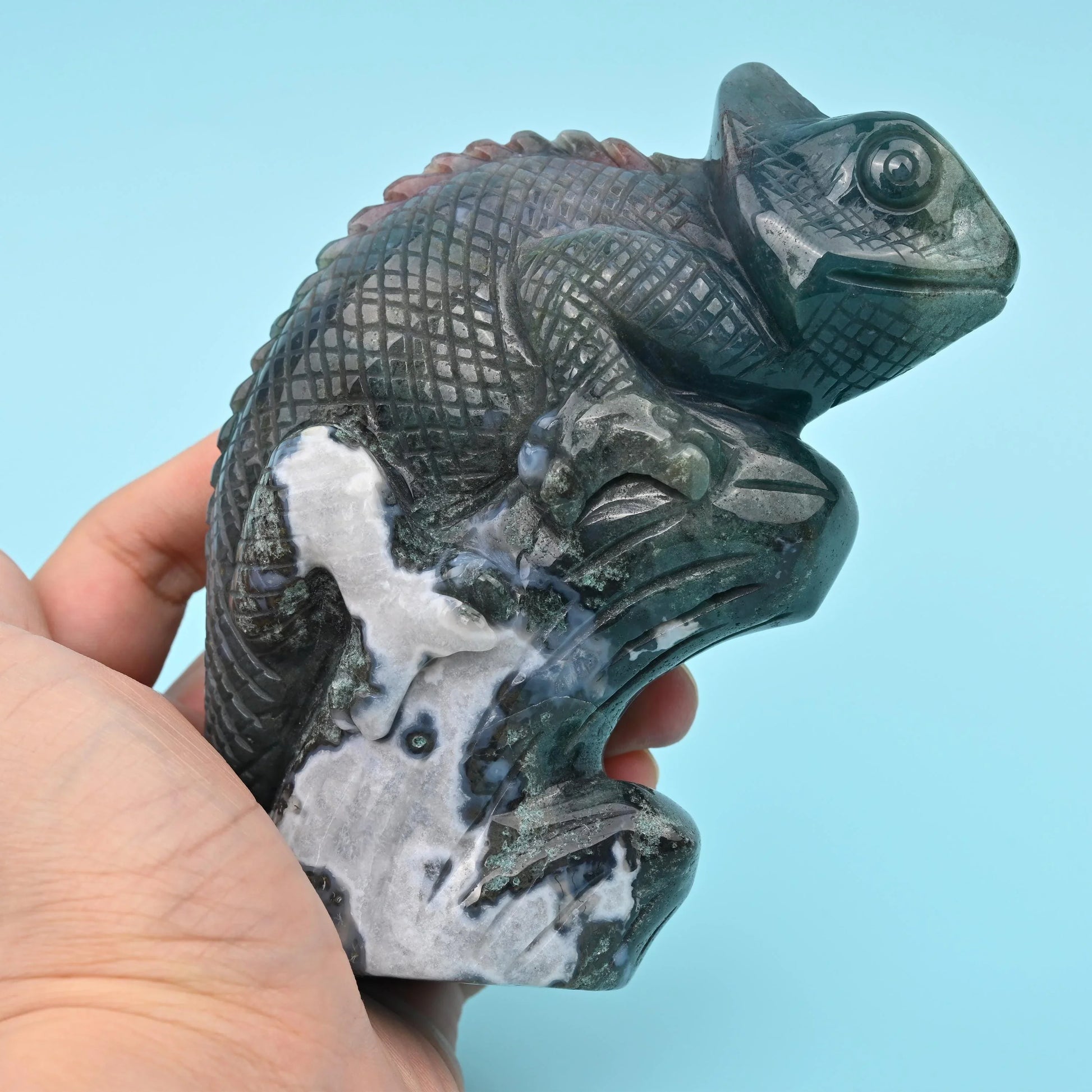 5" Natural Large Size Indian Agate Chameleon Gemstone Lizard Carving 1.97 lb - Mycrazycrystal