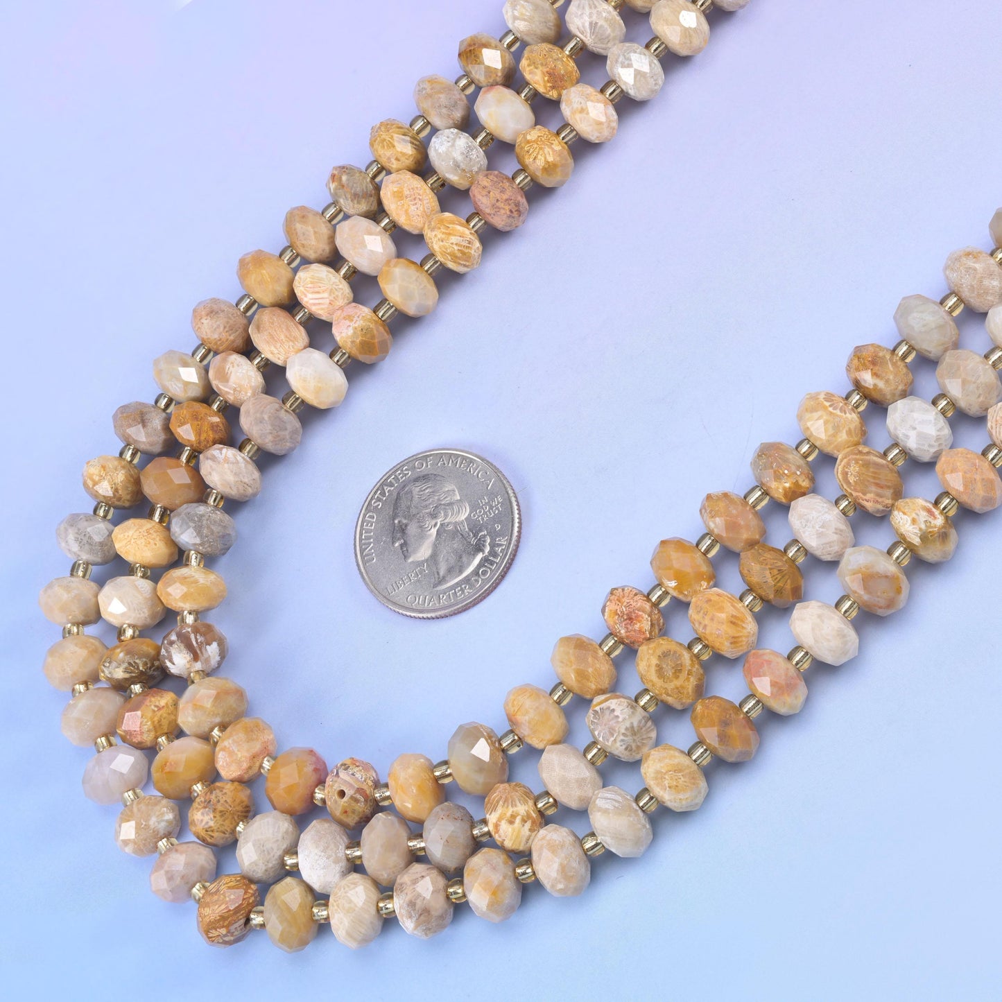 Fossil Coral Faceted Rondelle Beads Size 6x10mm Jewelry Making 15.5 Inch Strand