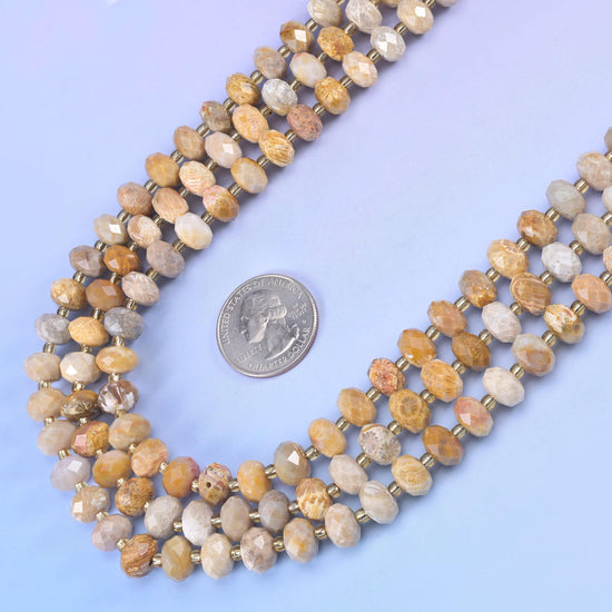 Fossil Coral Faceted Rondelle Beads Size 6x10mm Jewelry Making 15.5 Inch Strand